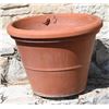 Image 8 : Collection of Outdoor Planters