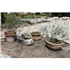 Image 2 : Five (5) Planters