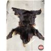 Image 1 : Black Bear Hide (Rug) (w/Claws) (66" x 65") (SEE PICS!)