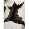 Image 3 : Black Bear Hide (Rug) (w/Claws) (66" x 65") (SEE PICS!)