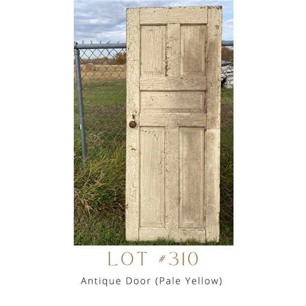 Lot 310