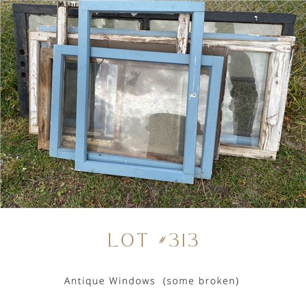 Lot 313