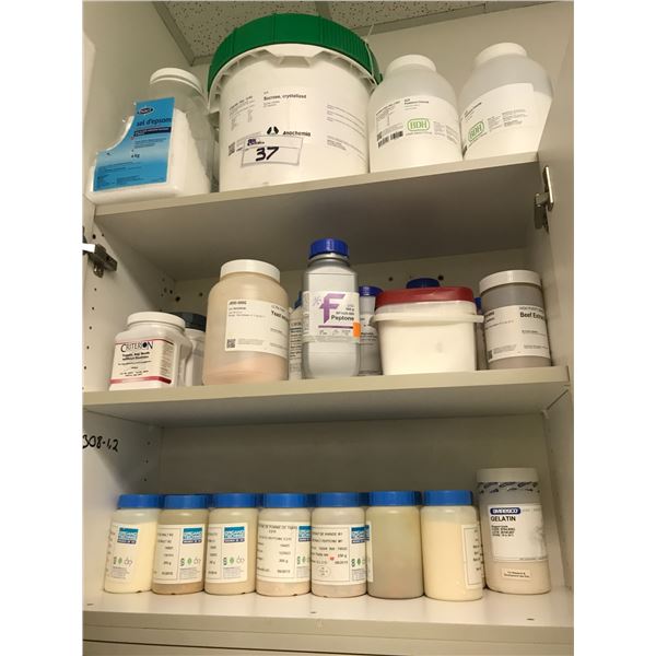 LARGE GROUP OF ASSORTED LAB CHEMICALS