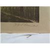 Image 8 : Avenue of Trees Artwork, Signed by Artist Hobbema, Unframed 14"x10.5"