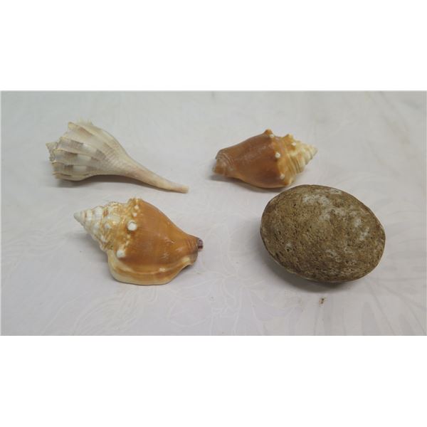 Qty 3 Decorative Shells & Hollow Rock, Misc Sizes