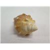 Image 8 : Qty 3 Decorative Shells & Hollow Rock, Misc Sizes