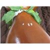Image 8 : Ipu Gourd Hula Instrument w/ Carry Case 22"H