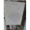 Image 2 : 7 Concrete Pads with Pressed Leaf Design 26'' x 19'' 