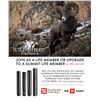 Image 4 : Wild Sheep Foundation Life Membership