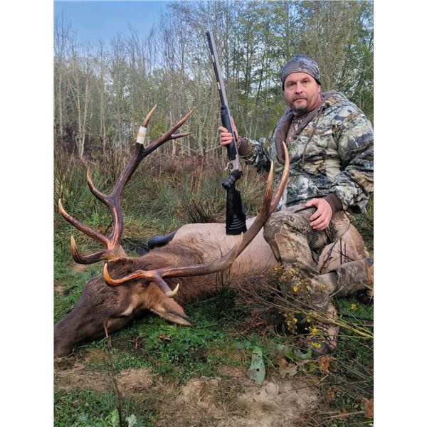 5-day Roosevelt Elk Hunt in Washington with Elk Junction Outfitters