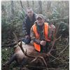 Image 7 : 5-day Roosevelt Elk Hunt in Washington with Elk Junction Outfitters