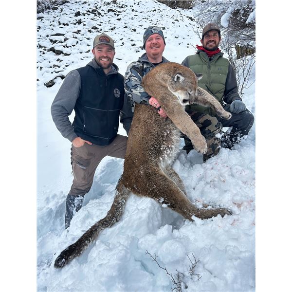 6-day Idaho Mountain Lion Hunt for One Hunter with McGowan Outfitting
