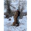 Image 3 : 6-day Idaho Mountain Lion Hunt for One Hunter with McGowan Outfitting