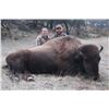 Image 3 : 7-day Mexico Free Range Cow Bison Hunt with Mesquite Mountain Outfitters
