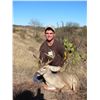 Image 6 : 8-day Mexico Mule Deer Hunt with HR Big Game Outfitters & Fishing Tours