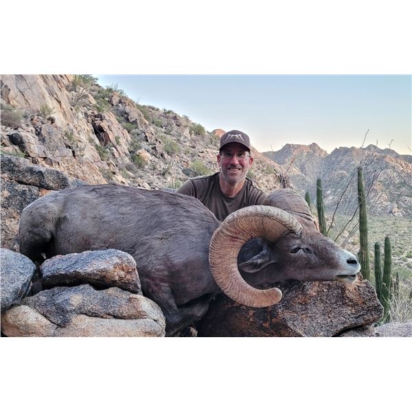12-day Free Range Mexico Desert Sheep Hunt with Mesquite Mountain Outfitters