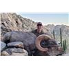 Image 1 : 12-day Free Range Mexico Desert Sheep Hunt with Mesquite Mountain Outfitters