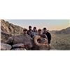 Image 3 : 12-day Free Range Mexico Desert Sheep Hunt with Mesquite Mountain Outfitters