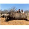 Image 1 : 6-day/7-night Cow Cape Buffalo Hunt for Two with Elandsbosch Safaris