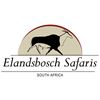 Image 2 : 6-day/7-night Cow Cape Buffalo Hunt for Two with Elandsbosch Safaris