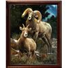 Image 1 : Dallen Lambson Original Framed Oil Painting 'Royalty Among the Rocks'
