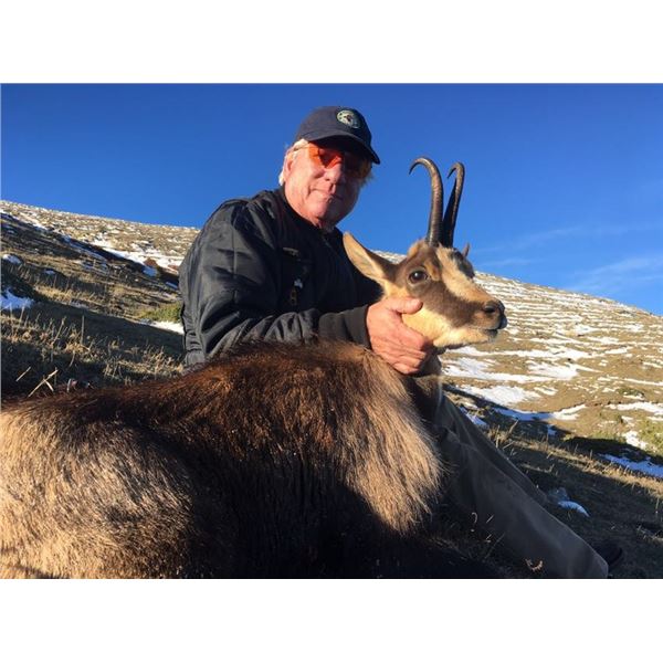 4 days Cantabrian Chamois hunt in Spain for 1 Hunter + 1 Companion with Eurohunts Spain