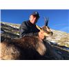 Image 1 : 4 days Cantabrian Chamois hunt in Spain for 1 Hunter + 1 Companion with Eurohunts Spain