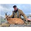 Image 5 : 4 days Cantabrian Chamois hunt in Spain for 1 Hunter + 1 Companion with Eurohunts Spain