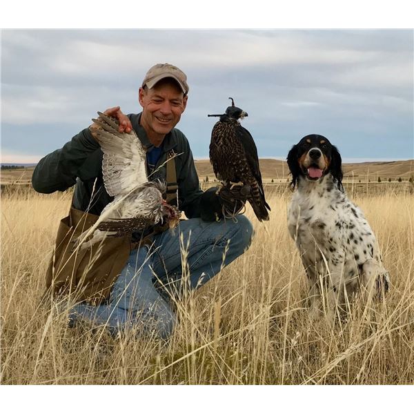 Two Days of Falconry Hunting and One Day of Upland Bird Hunting or Fly Fishing in Wyoming
