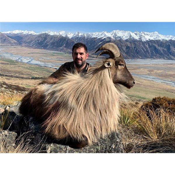 5-day Trophy Himalyan Bull Tahr Hunt for One Hunter & One Non-hunter w/Southern Mountain Adventures