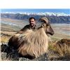Image 1 : 5-day Trophy Himalyan Bull Tahr Hunt for One Hunter & One Non-hunter w/Southern Mountain Adventures