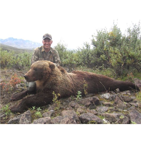 10-day Alaska Grizzly Bear/Brown Bear, Wolf and Wolverine Combo with D&L Outfitters
