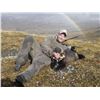 Image 6 : 10-day Alaska Grizzly Bear/Brown Bear, Wolf and Wolverine Combo with D&L Outfitters