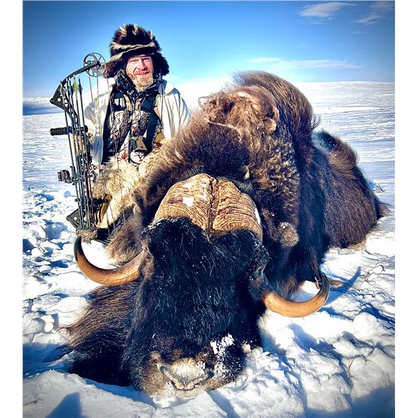 6-day Northwest Territories Musk Ox Hunt with Canadian High Arctic Adventures