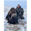 Image 4 : 6-day Northwest Territories Musk Ox Hunt with Canadian High Arctic Adventures