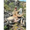 Image 5 : 14-Day British Columbia Stone Sheep Hunt with Tuchodi River Outfitters
