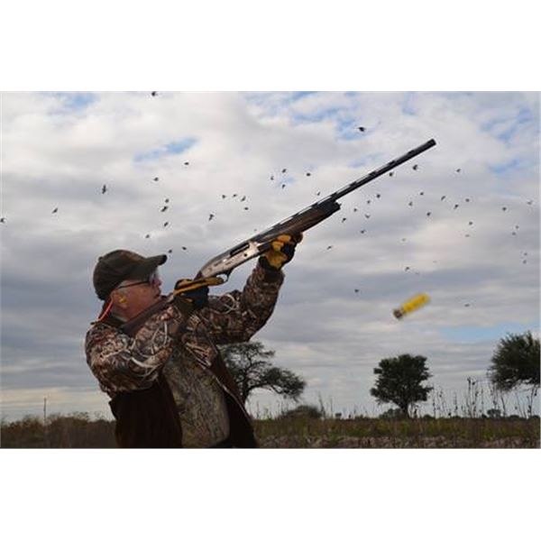 Dove + Pigeon or Golden Dorado Fishing for 4 hunters