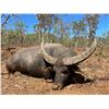 Image 16 : 6-day Australia Bull Buffalo, Cow Buffalo and Pig Hunt for Two Hunters