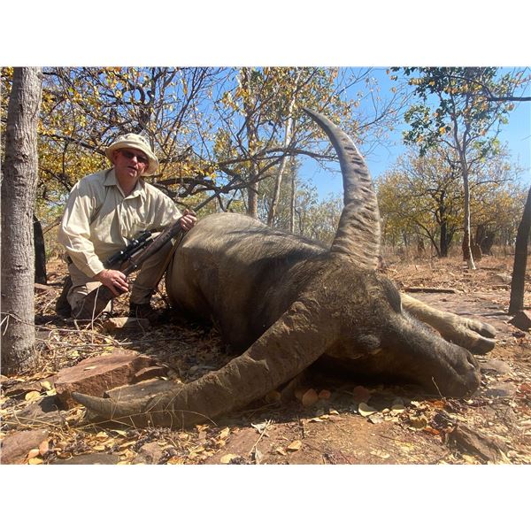 6-day Australia Bull Buffalo, Cow Buffalo and Pig Hunt for Two Hunters