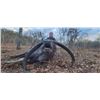 Image 3 : 6-day Australia Bull Buffalo, Cow Buffalo and Pig Hunt for Two Hunters