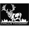 Image 2 : One Deer or Antelope Shoulder Mount from Challis Taxidermy