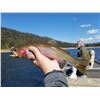 Image 1 : 1 Day Flyfishing Trip For Two at Brundage Reservoir