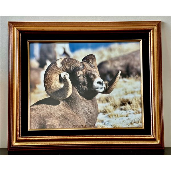 Framed Photo by Bryan Martin