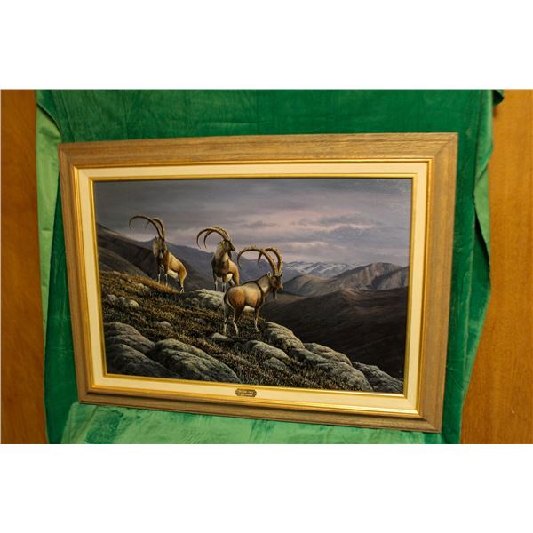 Bezoar Ibex Original Painting by Jim McGee