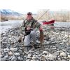 Image 7 : One-day Steelhead Fishing for Two on the Salmon River near Salmon, Idaho