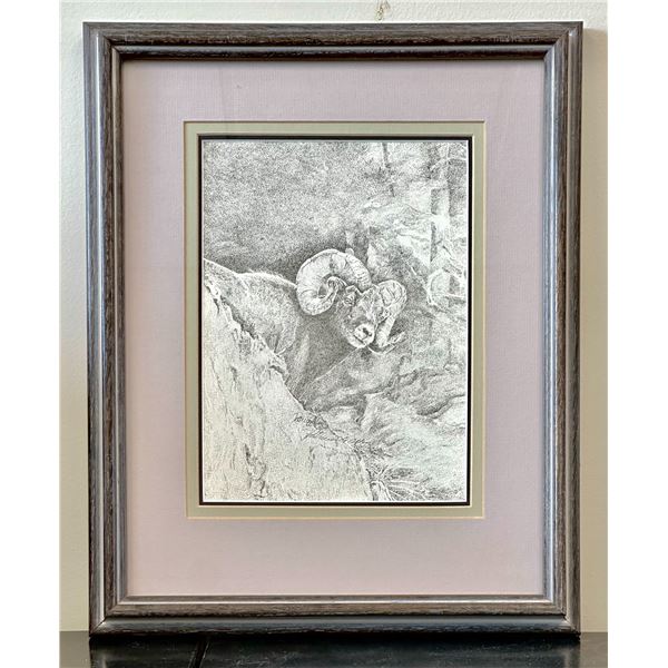 Bighorn Stippling Art Print by Patricia A. Allen