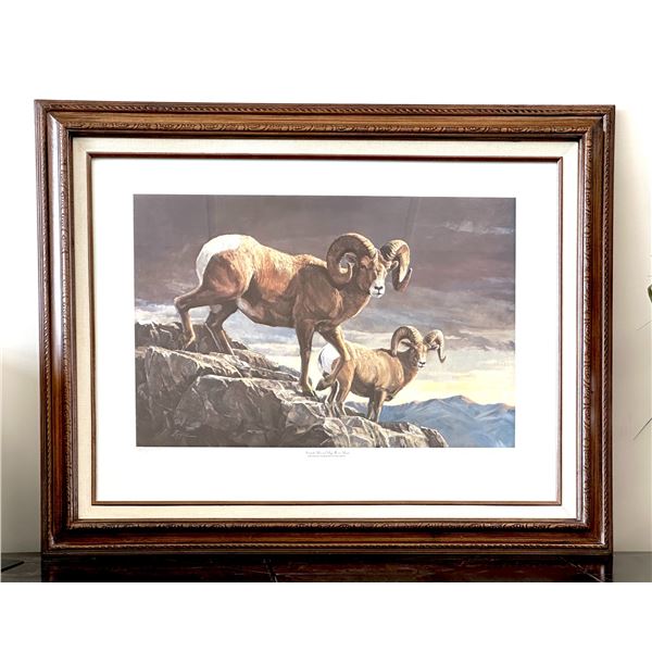 Nevada Record Bighorn Ram Publish by Nevada Artist Fred Boyce Print