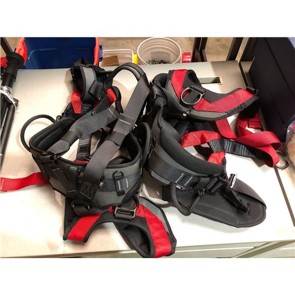 Group of 2 climbing harnesses