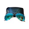 Image 1 : Ray ban sunglasses w/case