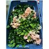 Image 1 : Group of 3 bins of artificial flowers, vines, plants, etc...